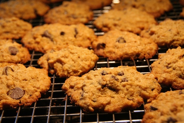 gluten free chocolate chip cookies