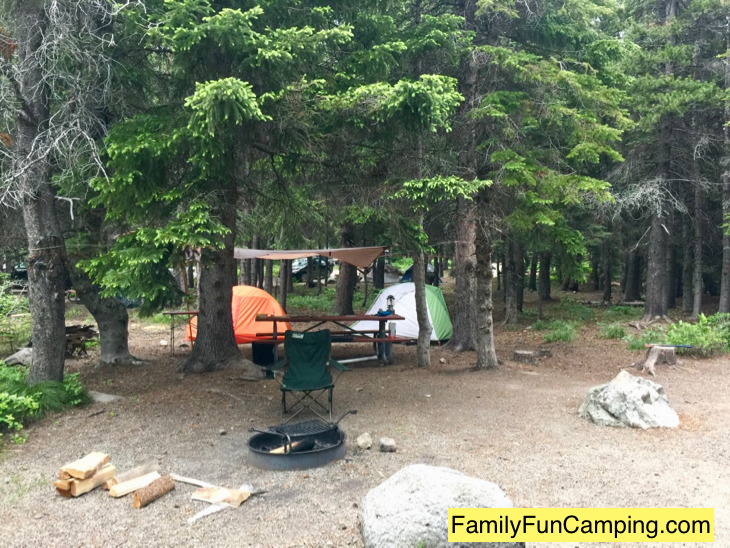 Your Campsite Neighbor Matters